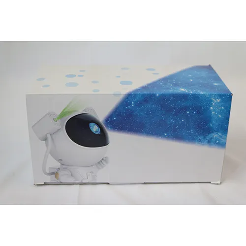 Dienmern - Proiector