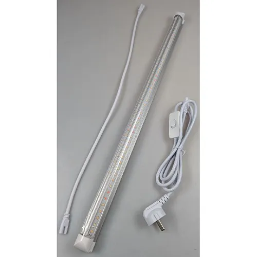 COKOLILA - Creșteți lumina