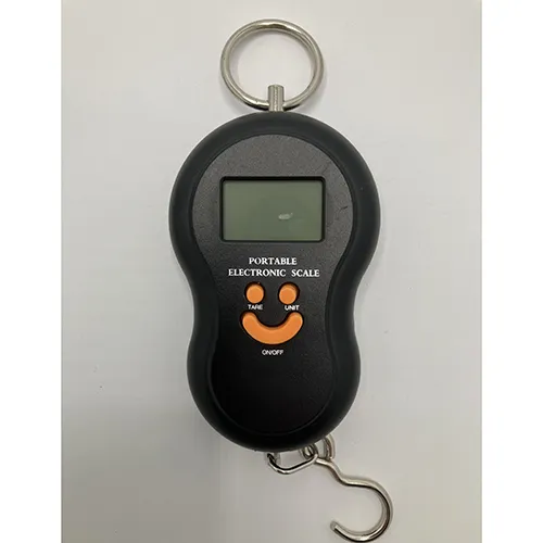 Ryom Digital - Scală