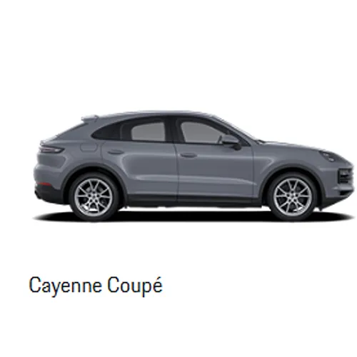 Porsche - Vagon pentru pasageri