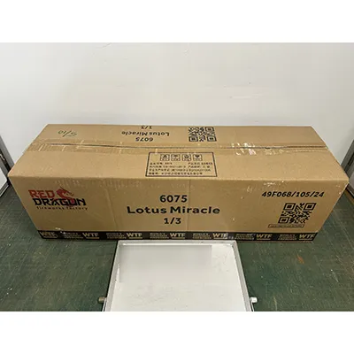 Fireworks International B.V. - Focuri de artificii