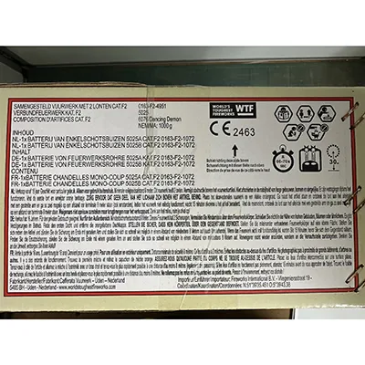 Fireworks International B.V. - Focuri de artificii