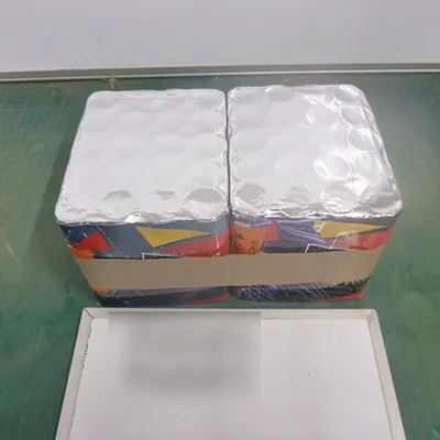 Fireworks International B.V. - Focuri de artificii