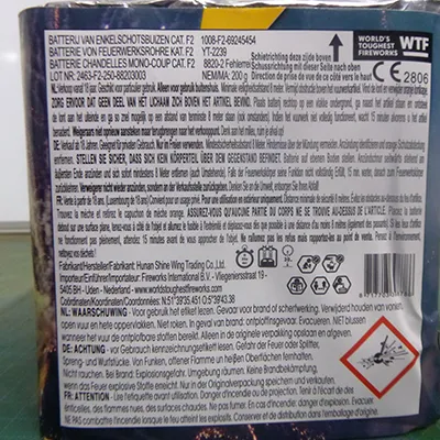 Fireworks International B.V. - Focuri de artificii