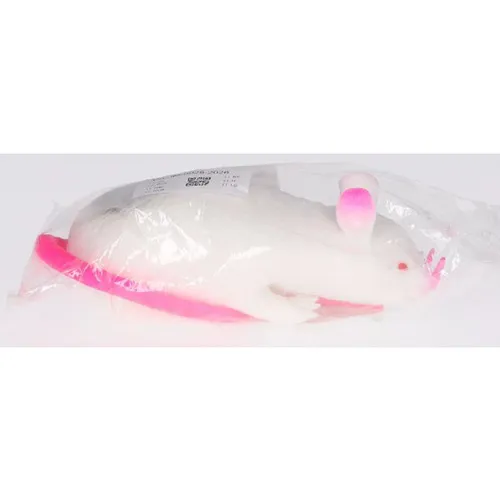 Jucărie din plastic elastic în formă de șoarece, umplută cu nisip.