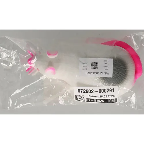 Jucărie din plastic elastic în formă de șoarece, umplută cu nisip.