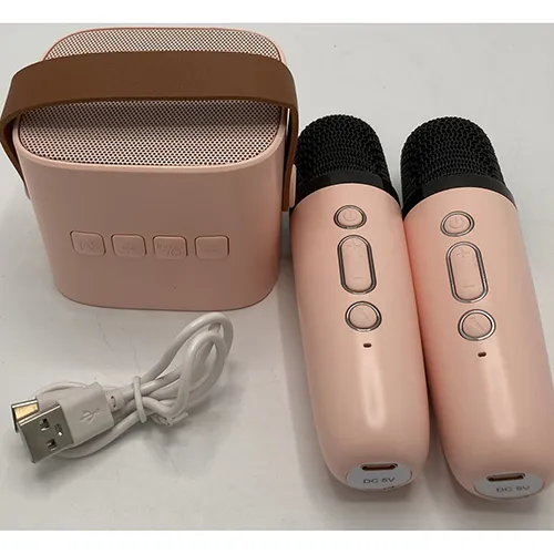 Set Karaoke cu două microfoane wireless și un cablu USB.