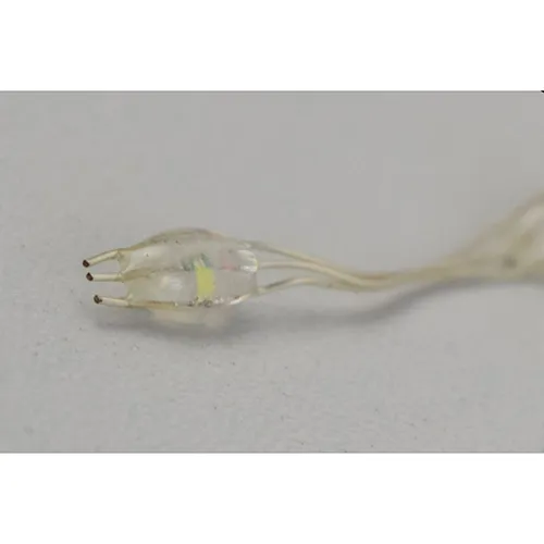 Arborele de iluminat decorativ cu lumini LED neînlocuibile și o cutie de unitate de alimentare cu funcție intermitentă.